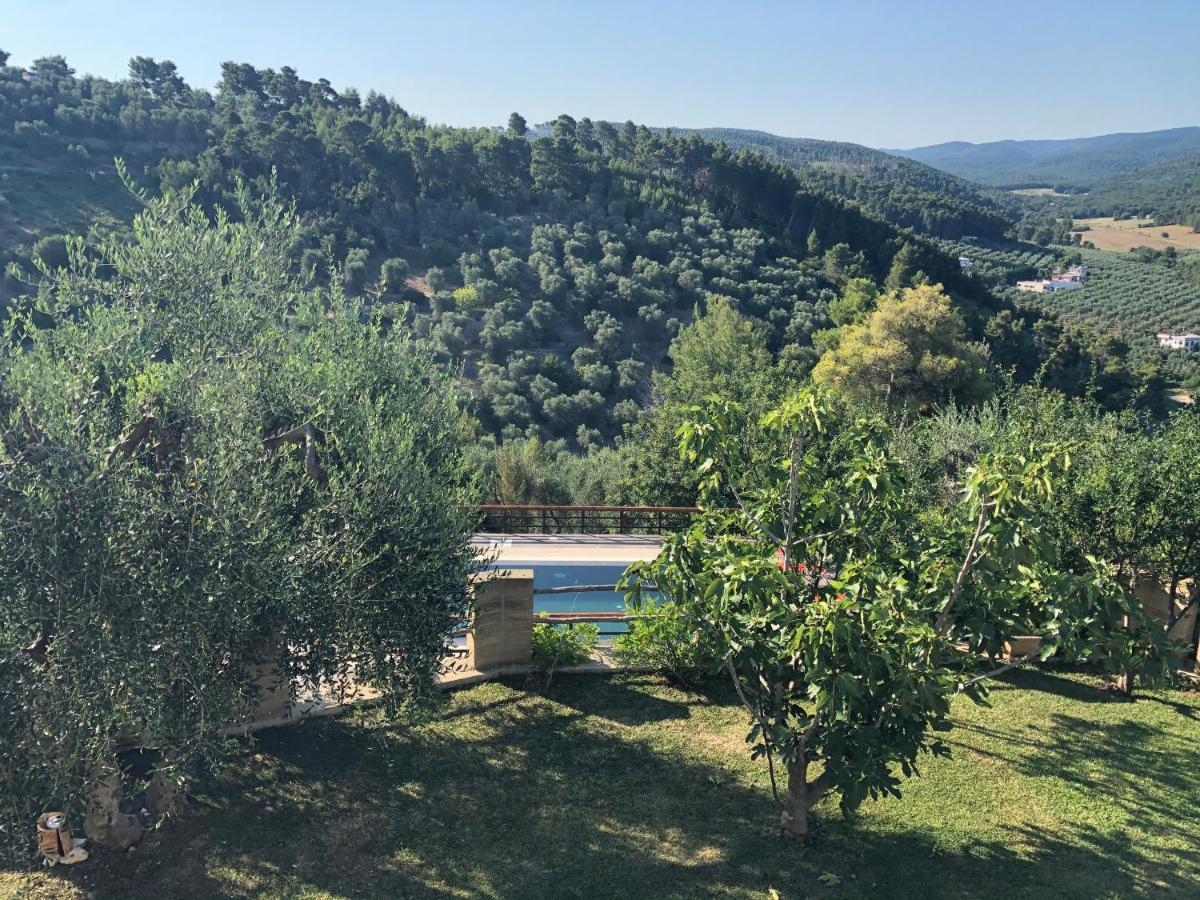 B&B Zia Ni Peschici Eksteriør billede